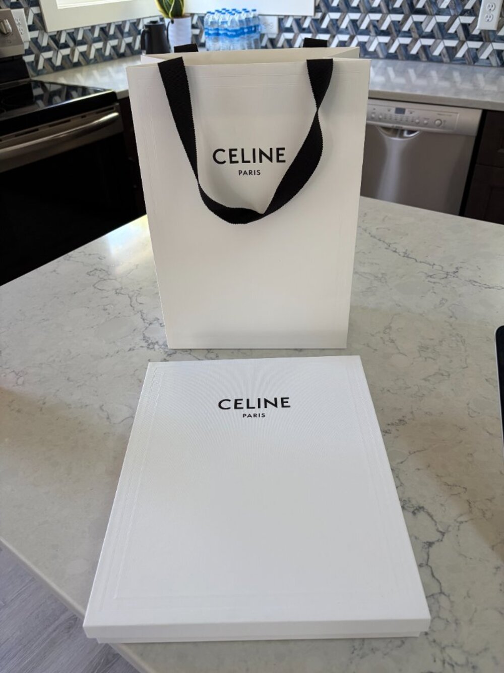 CELINE SMALL POUCH WITH STRAP CUIR TRIOMPHE IN TRIOMPHE CANVAS AND CALFSKIN - Picture 5 of 6